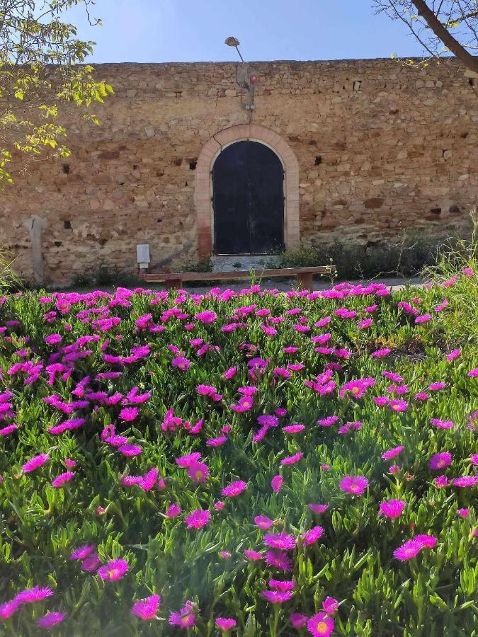 Finca Las Rosas De Santa Ana วิลยามาร์ติน ภายนอก รูปภาพ