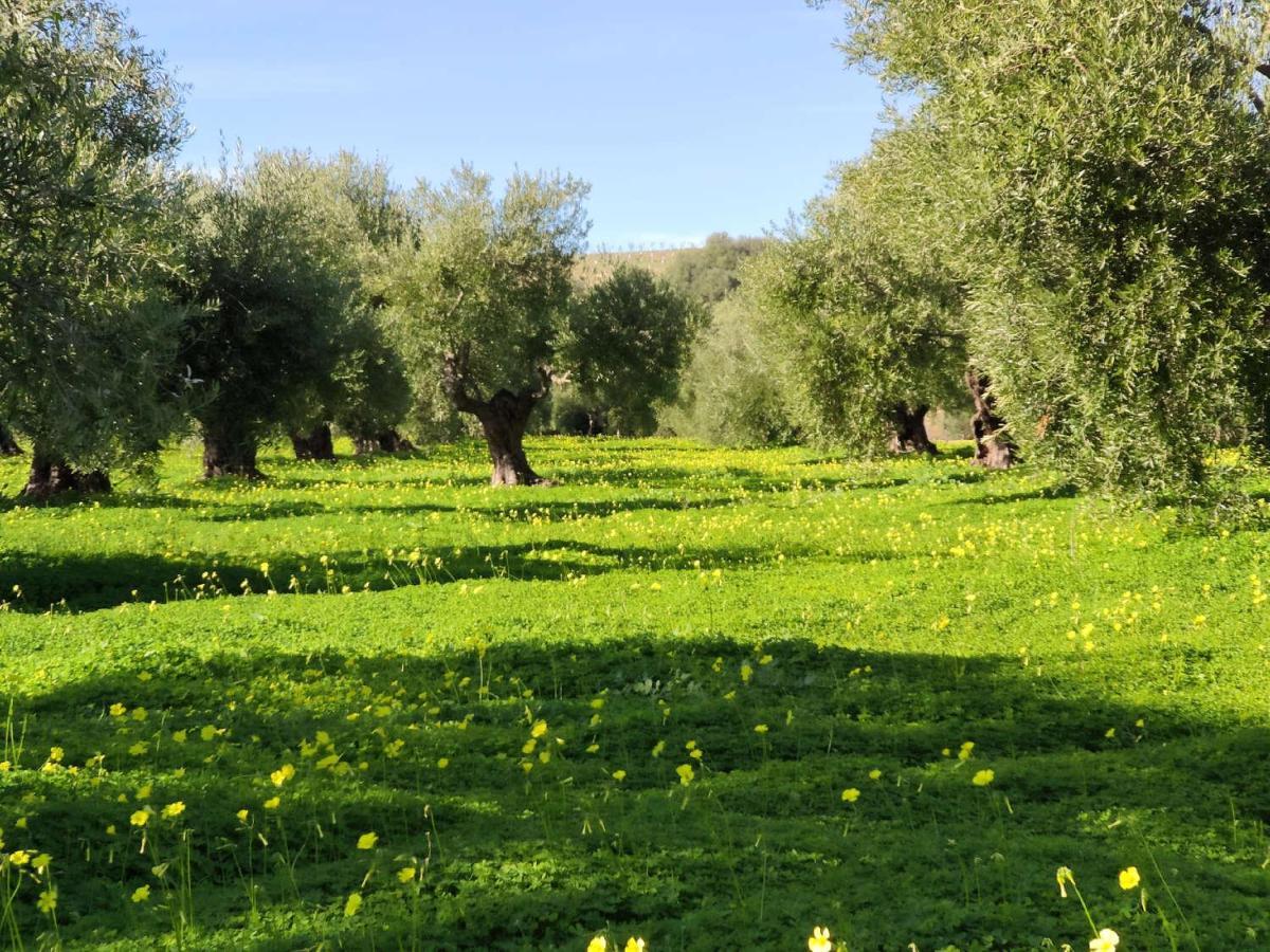 Finca Las Rosas De Santa Ana วิลยามาร์ติน ภายนอก รูปภาพ