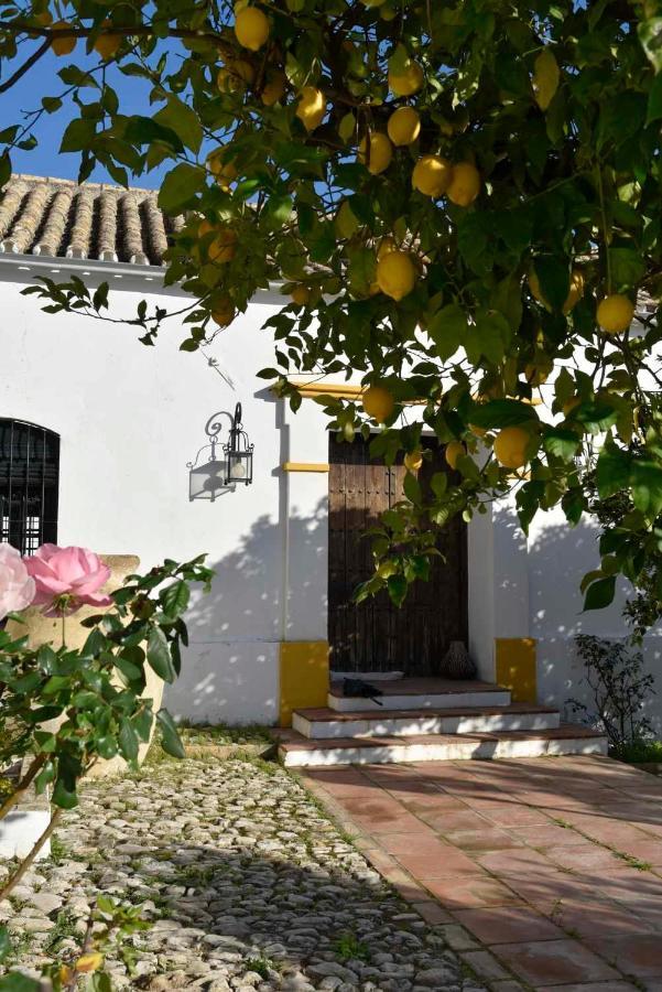 Finca Las Rosas De Santa Ana วิลยามาร์ติน ภายนอก รูปภาพ
